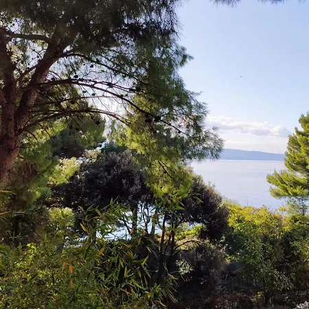 Apartmán 5 Srca Stanici