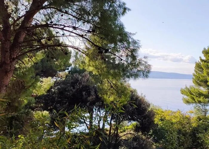 Apartment 5 Srca Stanici